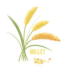 Today Millet