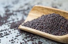 Mustard (கடுகு) 100g